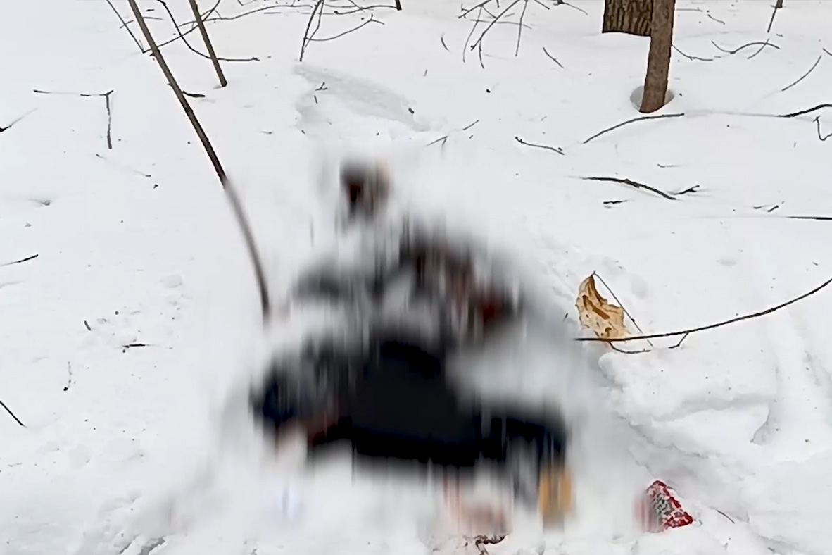 Screenshot from the FSB footage showing remains of a person