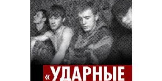 «Ударные отряды против Путина»: экспертизы